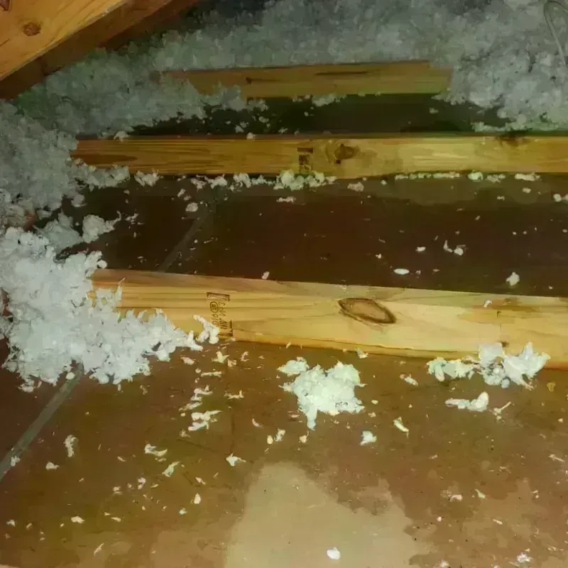 Attic Water Damage in Mauston, WI