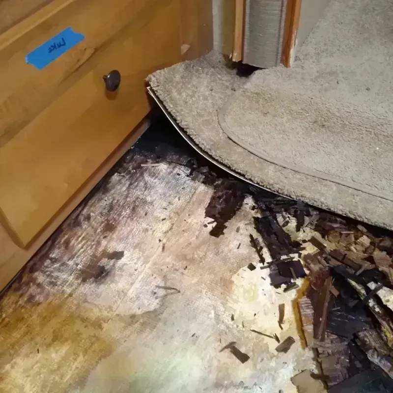 Best Wood Floor Water Damage Service in Mauston, WI